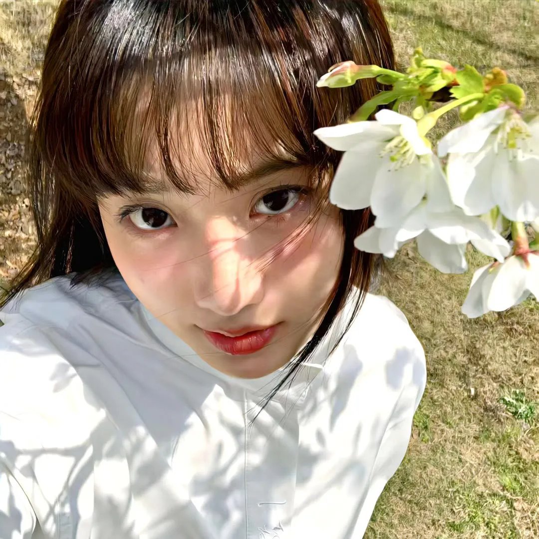 苹果橘子经济学