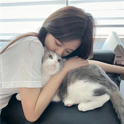挎斗摩托车里的狗